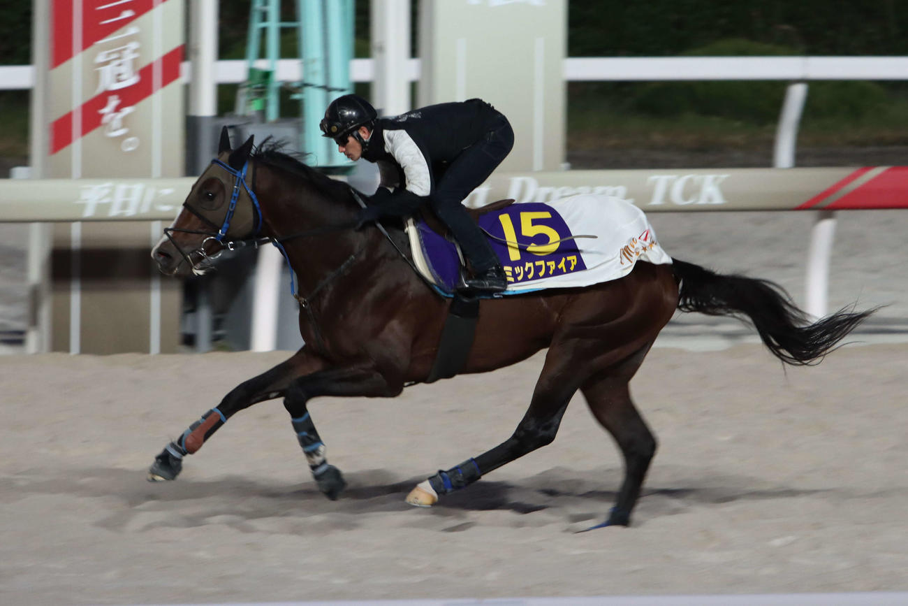 競馬の極み Local] 2026 G3 Nakayama Himba Stakes: Ethelfrieda, jockey Masaru