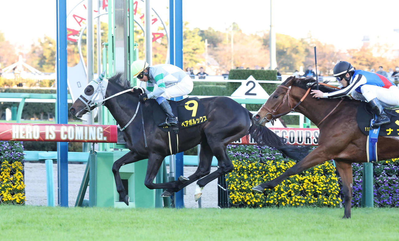 ラピスラズリSを制したペアポルックスと岩田康騎手（撮影・丹羽敏通）