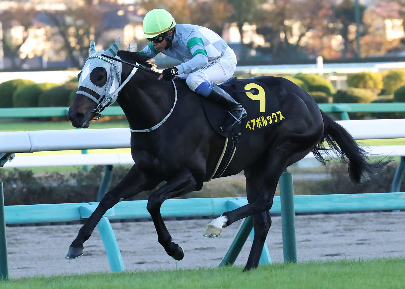中山11R、ラピスラズリSを制したペアポルックスと岩田康騎手（撮影・丹羽敏通）