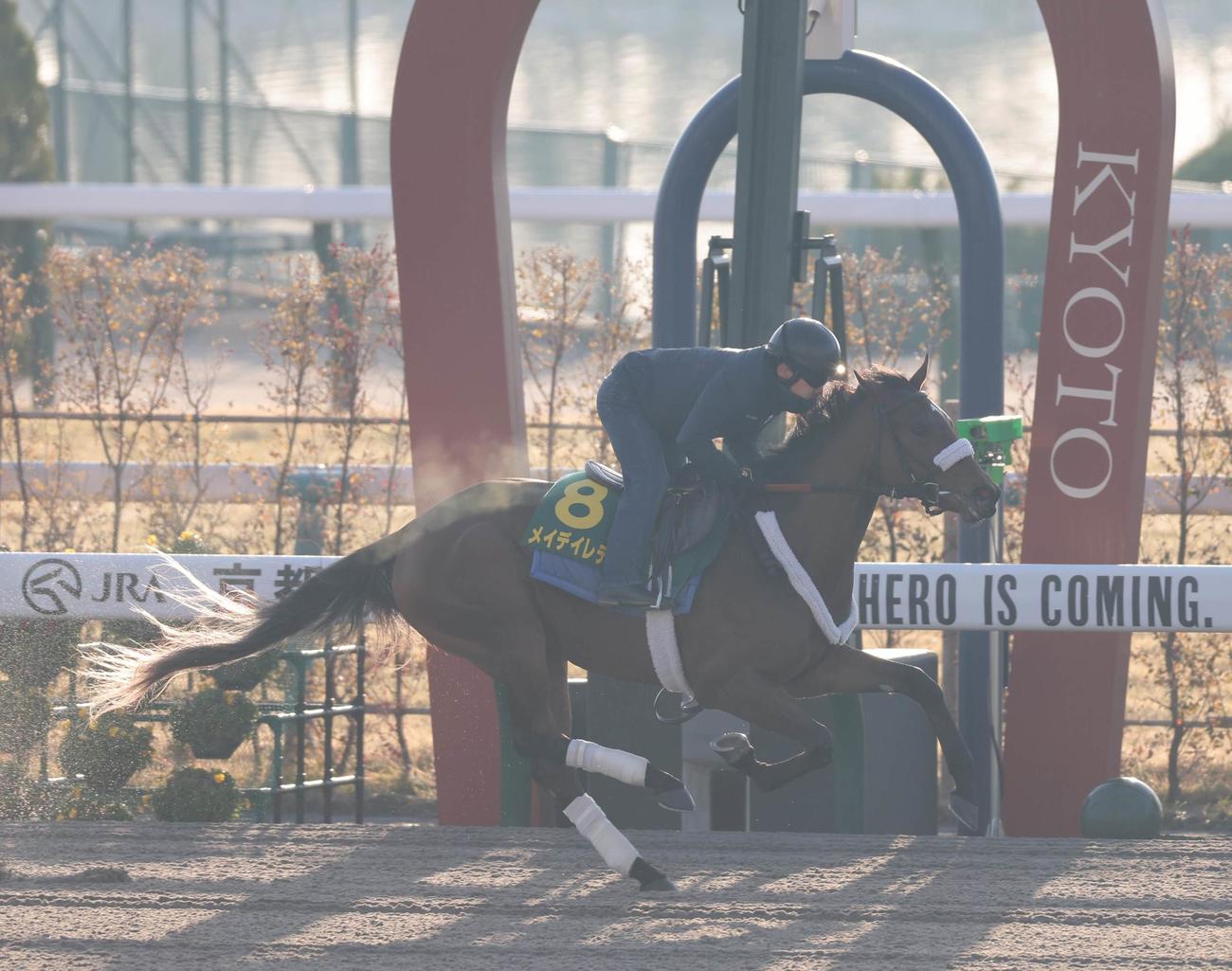 京都競馬場ダートコースで追い切ったメイデイレディ