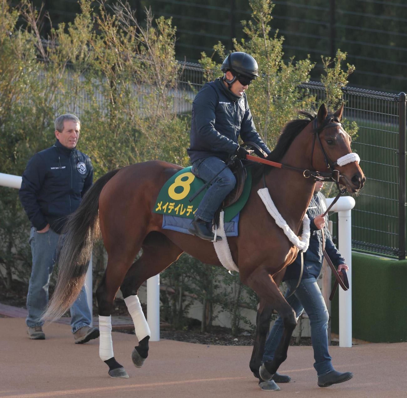 京都競馬場ダートコースで追い切ったメイデイレディ