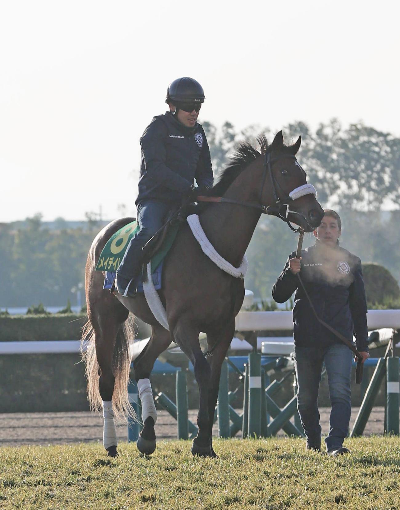 京都競馬場ダートコースで追い切ったメイデイレディ