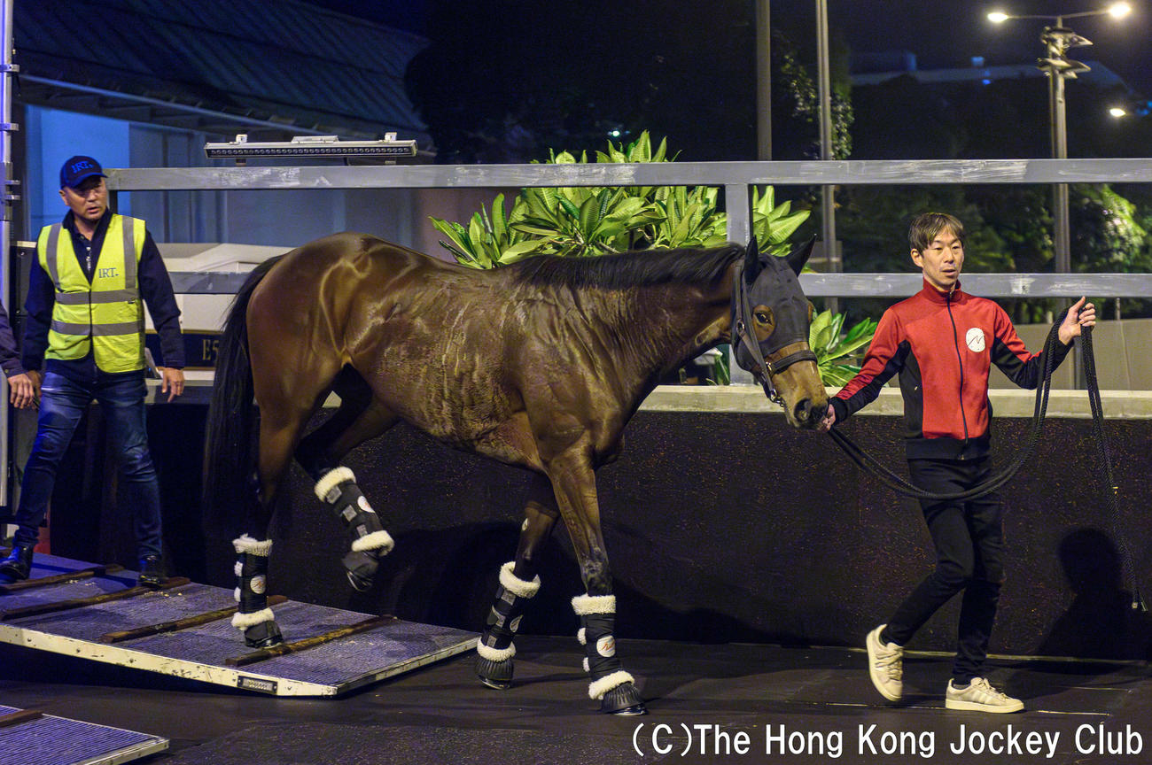 27日、シャティン競馬場へ到着したリバティアイランド