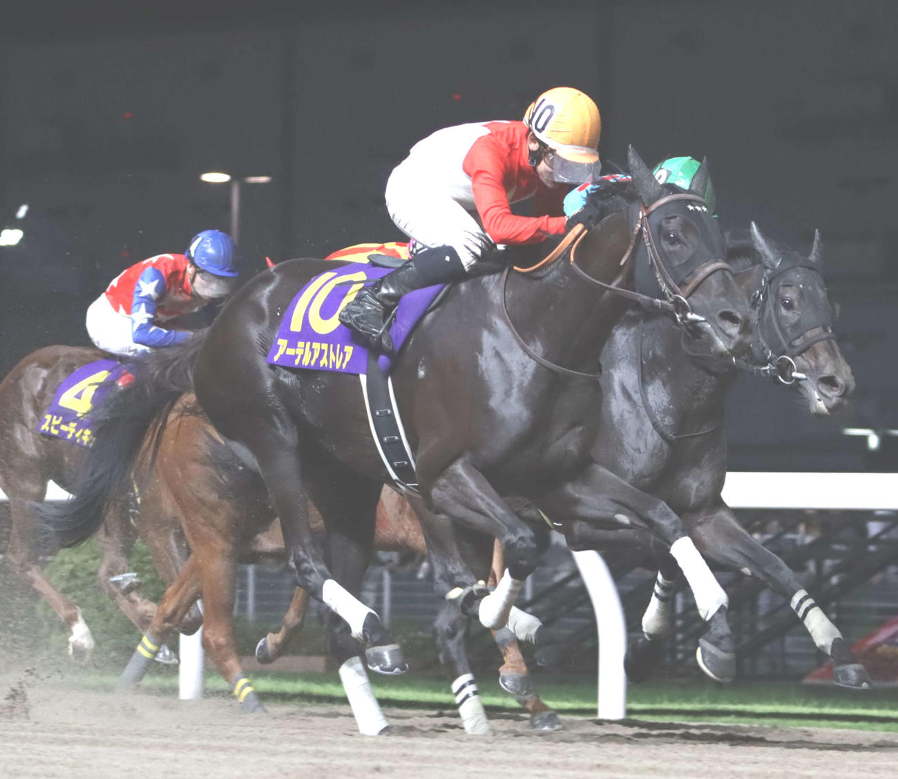 アーテルアストレア（2024年7月3日撮影）