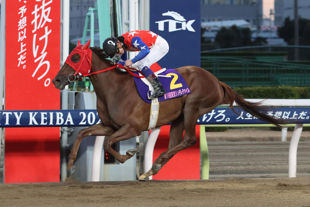22年、直線で抜け出し東京シンデレラマイルを制したスピーディキックと御神本訓史騎手