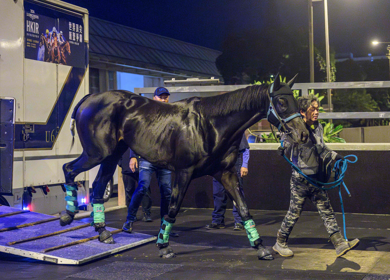 27日夜シャティン競馬場へ到着したルガル（（C）The Hong Kong Jockey Club）