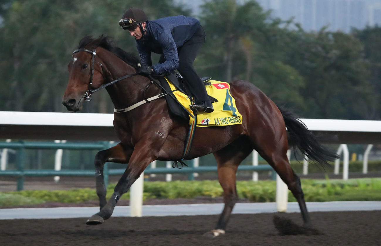 3日朝、パートン騎手を背に快走するカーインライジング（（C）The Hong Kong Jockey Club）
