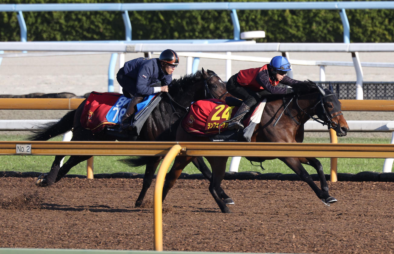小崎騎手を背にCウッドをレッドダンスール（左）と併せ馬で追い切るランフォーヴァウ（撮影・白石智彦）