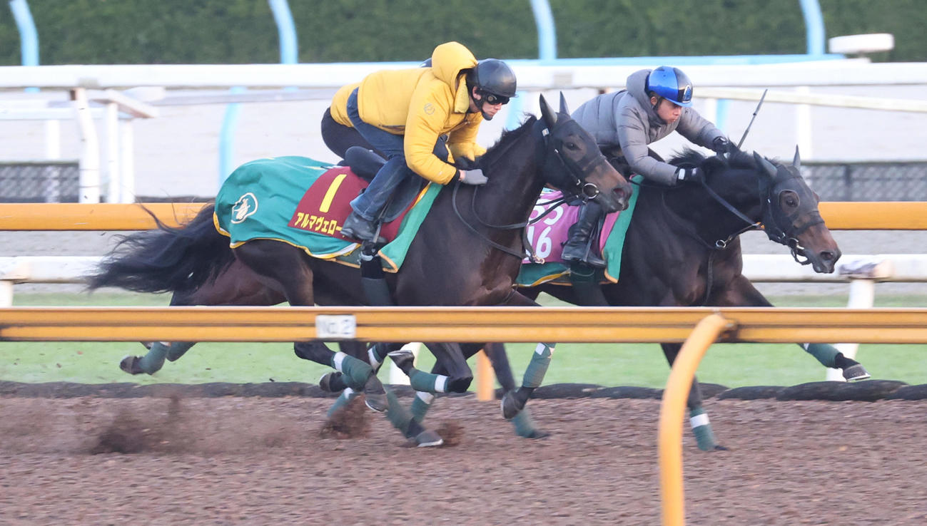 3頭併せで追い切るアルマヴェローチェ（手前）