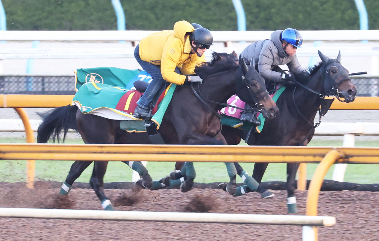 3頭併せで追い切るアルマヴェローチェ（手前）
