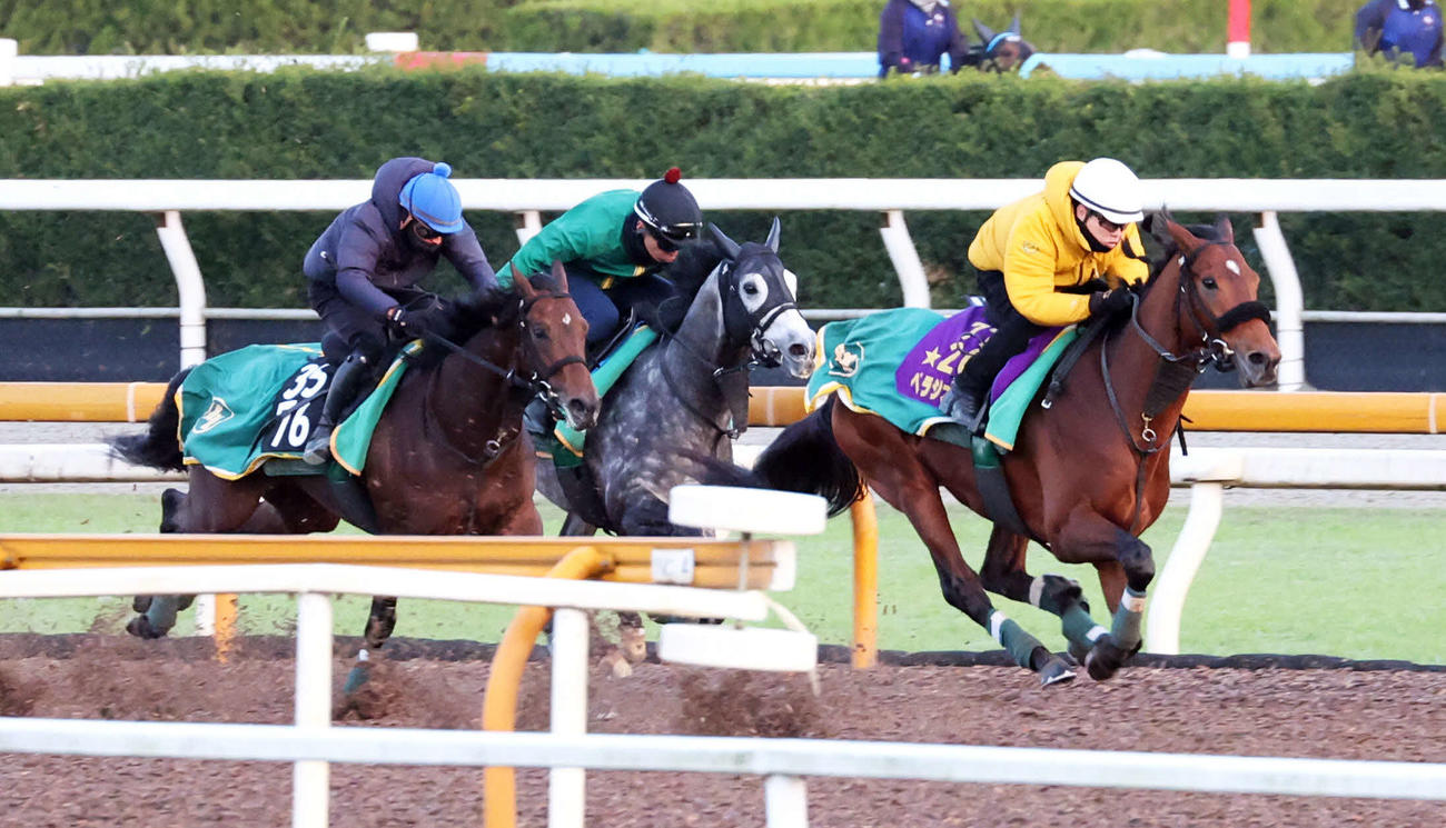 CWコースで3頭併せで追い切るベラジオオペラ（右）