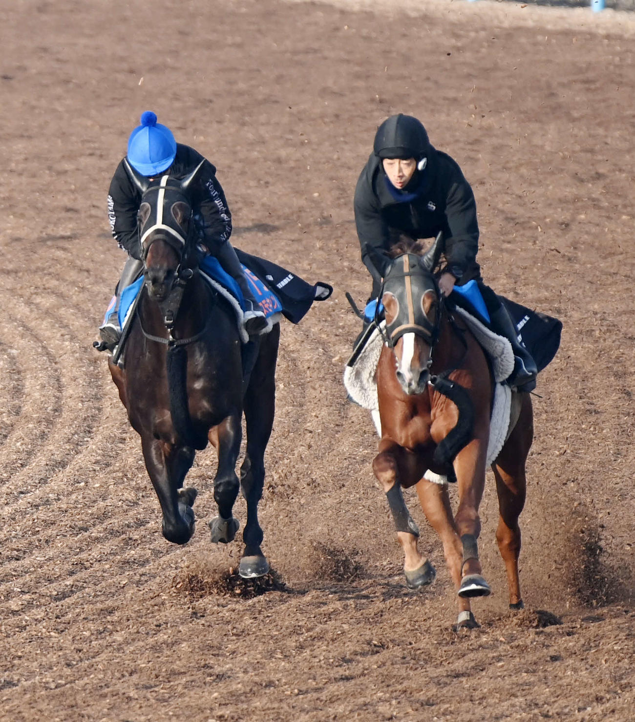 コスモキュランダ（左）は横山武騎手を背にマオノアラシと併せて追い切る（撮影・柴田隆二）