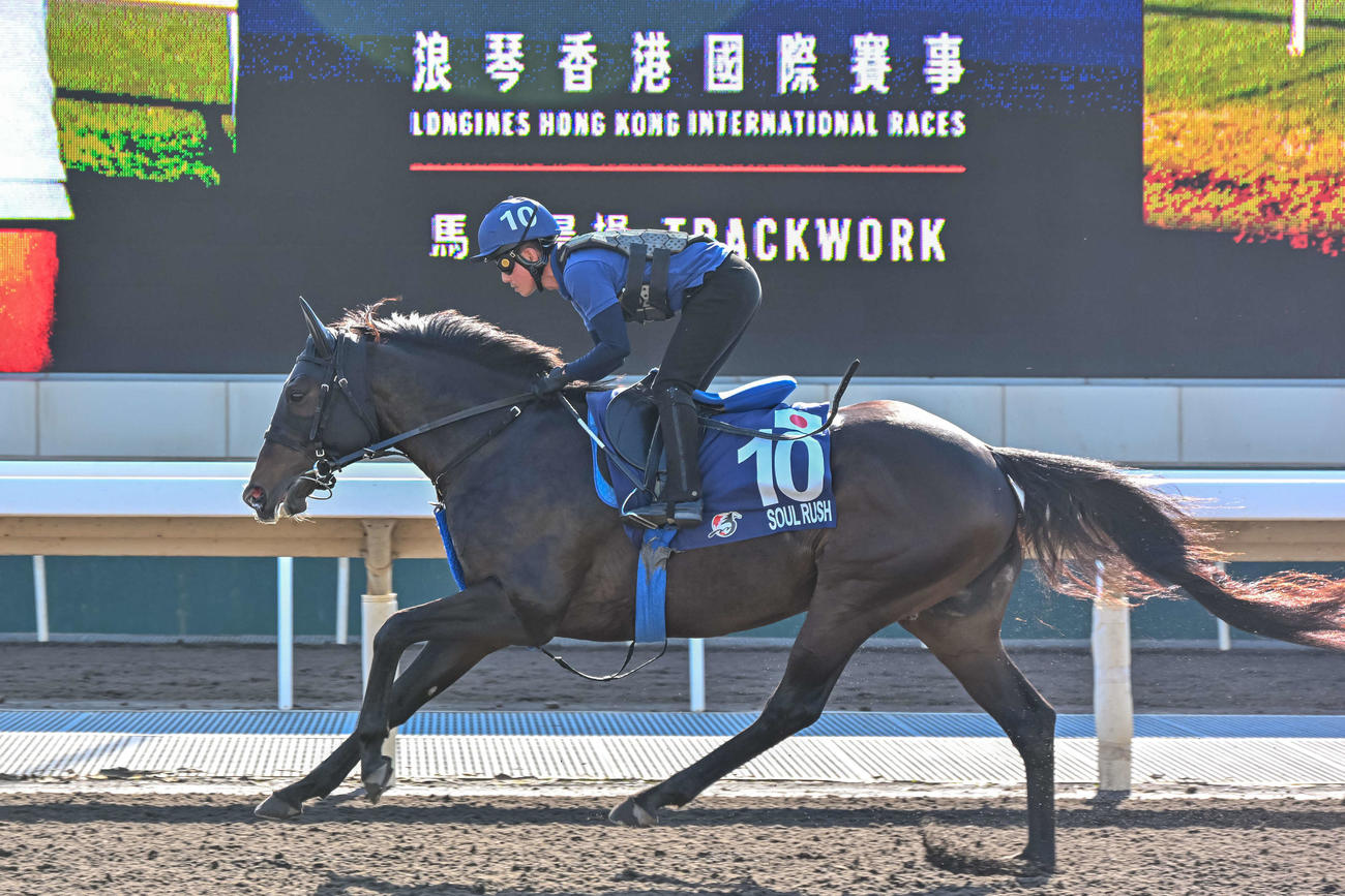 現地で調整するソウルラッシュ（C）The Hong Kong Jockey Club