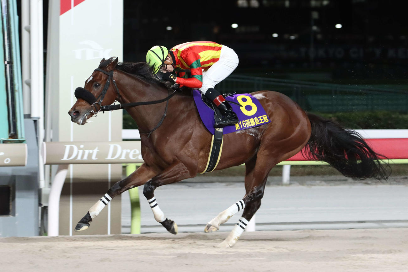 道中3番手から直線で抜け出し勝島王冠を制したキングストンボーイと御神本訓史騎手