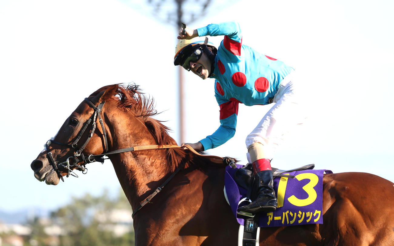 10月20日菊花賞を制したアーバンシックとルメール騎手