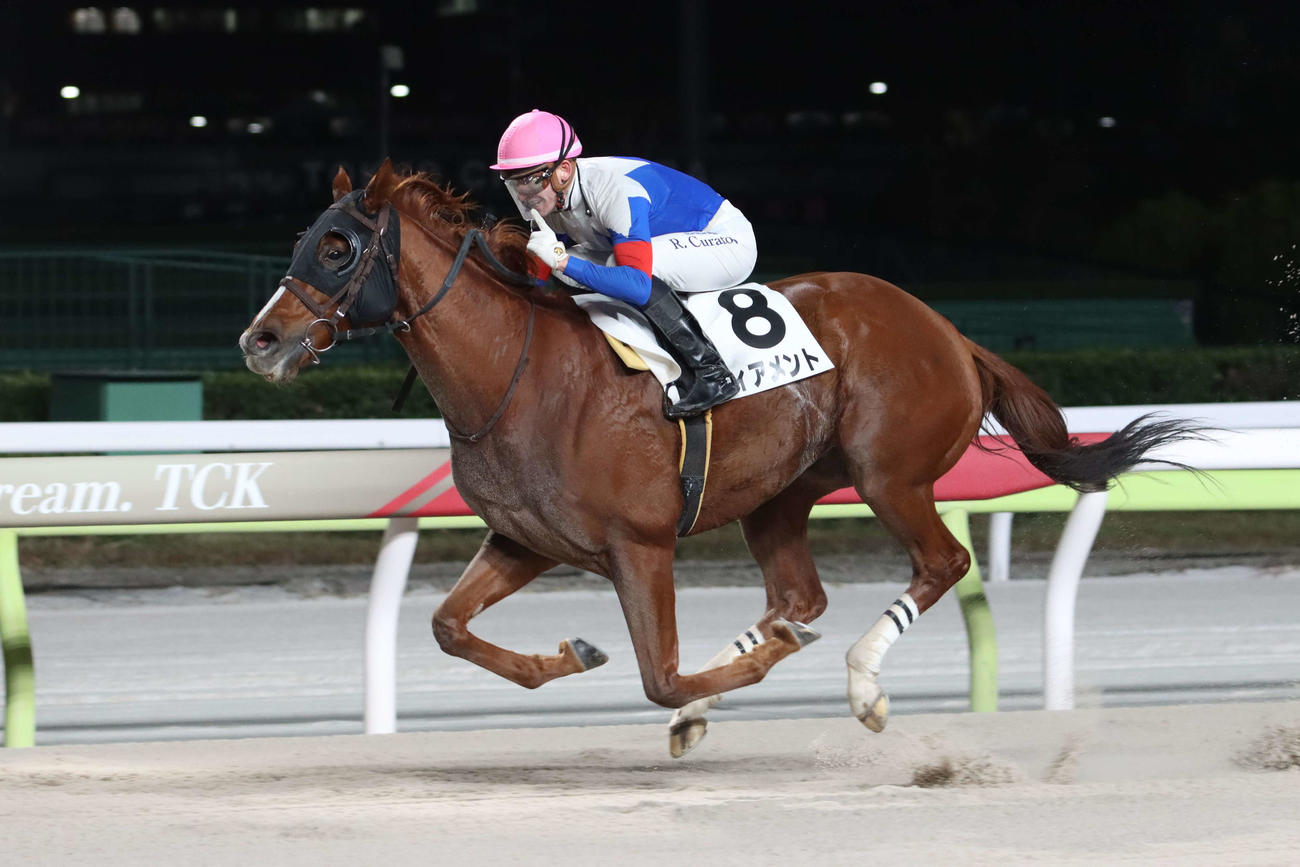 R・クアトロ騎手騎乗のヴィアメントがブルージルコン賞を勝ち藤田輝信師は地方競馬通算800勝を達成