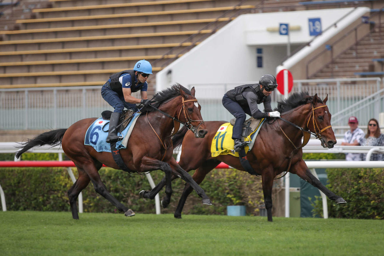 タスティエーラ（左）とサトノレーヴ（C）The Hong Kong Jockey Club