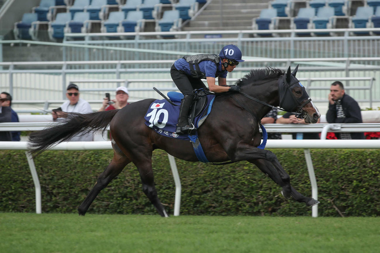 芝で追い切られたソウルラッシュ（C）The Hong Kong Jockey Club