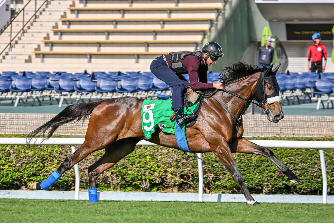 モレイラ騎手を背に芝コースで追い切られたステレンボッシュ（C）The Hong Kong Jockey Club