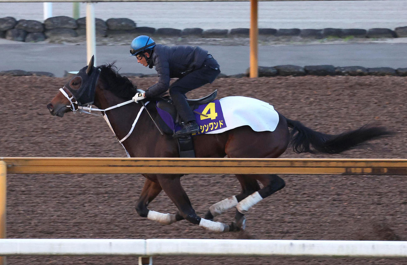 幸騎手を背にCウッドで追い切るエイシンワンド（撮影・白石智彦）