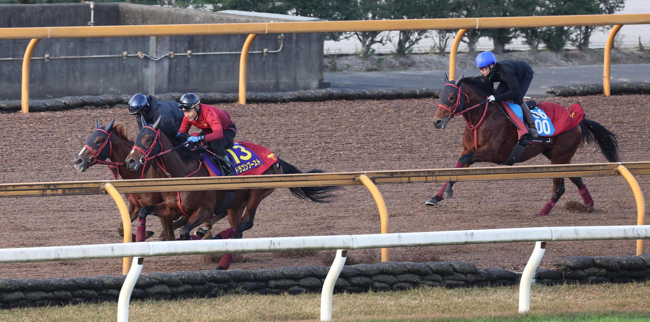 Cウッドを3頭併せで追い切るドラゴンブースト（中央）（撮影・白石智彦）