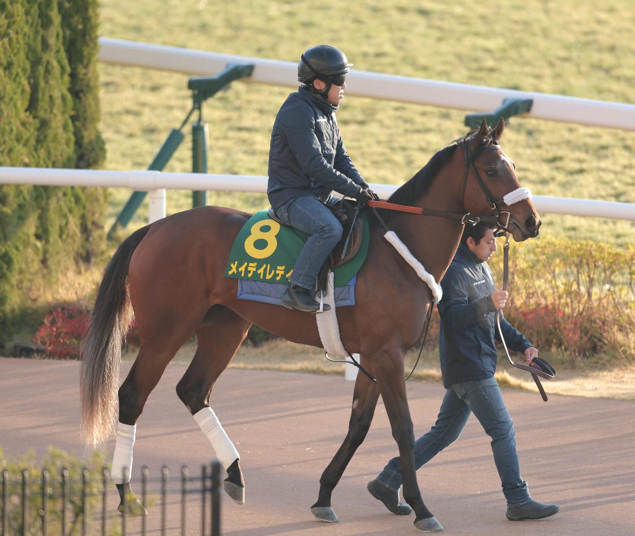 2日、京都競馬場で調整するメイデイレディ