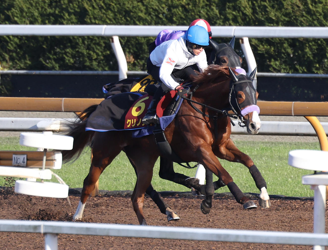 荻野琢騎手を背にCWで追い切るクリノメイ（撮影・白石智彦）