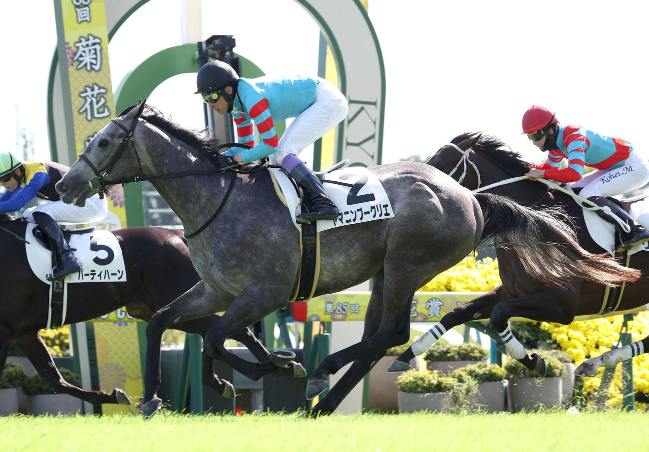 ゴール前差し切って新馬戦を制したヤマニンブークリエ（2024年10月撮影）