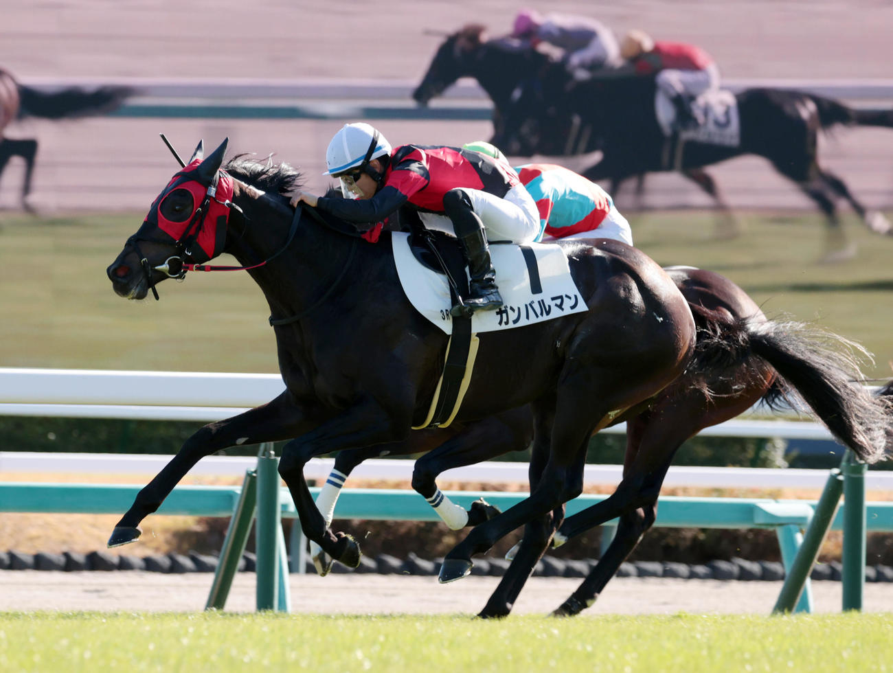 中山3R、1着ガンバルマンと原優介騎手（撮影・柴田隆二）