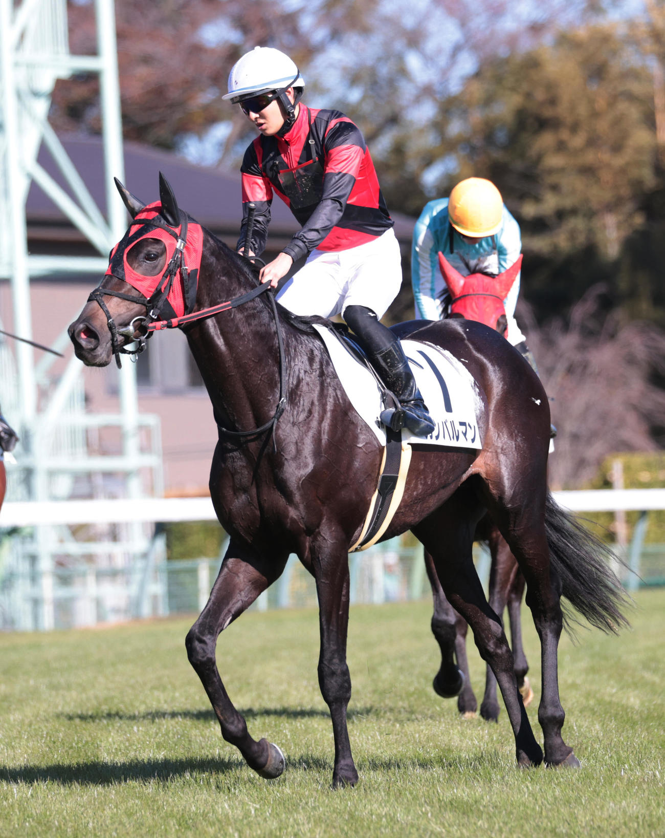 中山3R、1着ガンバルマンと原優介騎手（撮影・柴田隆二）