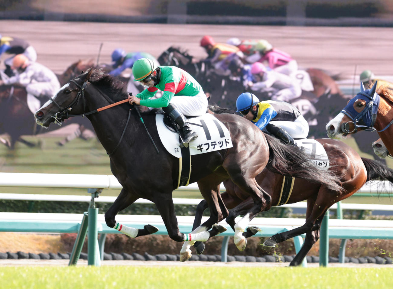 中山5R、新馬戦を制したギフテッド（左）（撮影・柴田隆二）