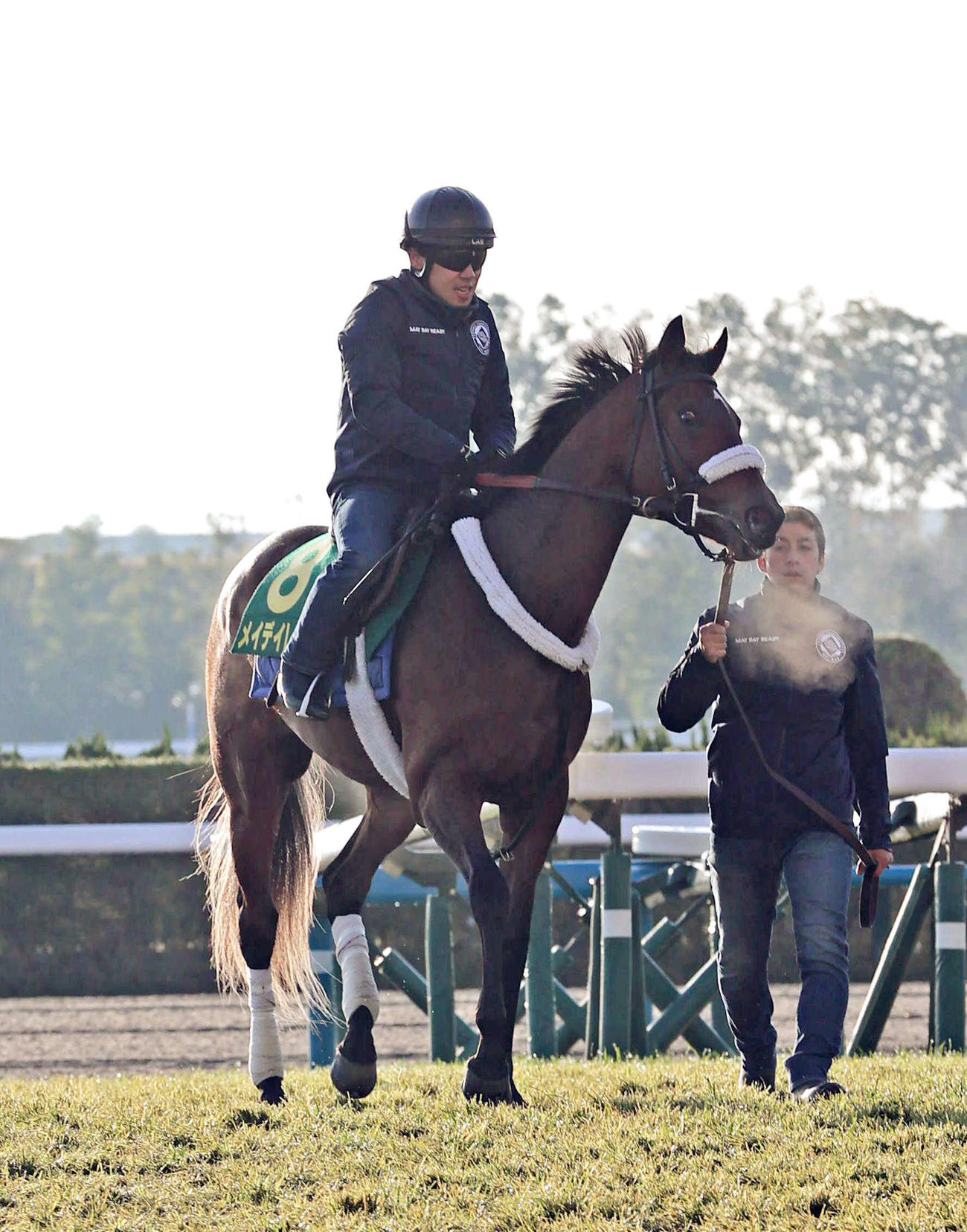 2日に京都競馬場で追い切ったメイデイレディ