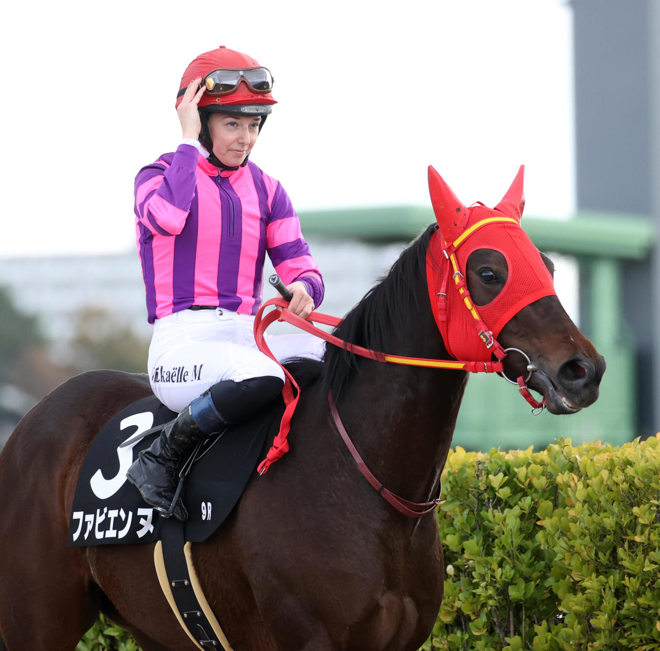 中山9R黒松賞は13着のファビエンヌとミシェル騎手（撮影・柴田隆二）