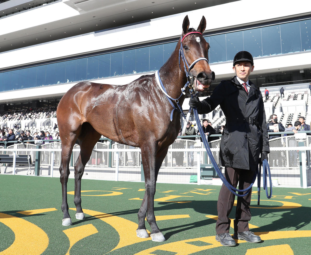 2歳未勝利を勝ち上がったヒミノエトワール（撮影・白石智彦）
