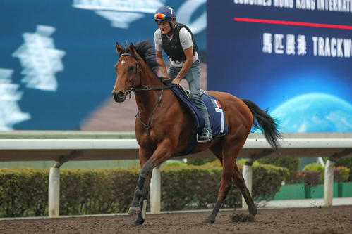 モーリス　香港マイル 単勝 的中馬券　おまけ プログラム 香港マイル】「危険な人気馬」モーリスドゲスト賞覇者ラザットは“距離