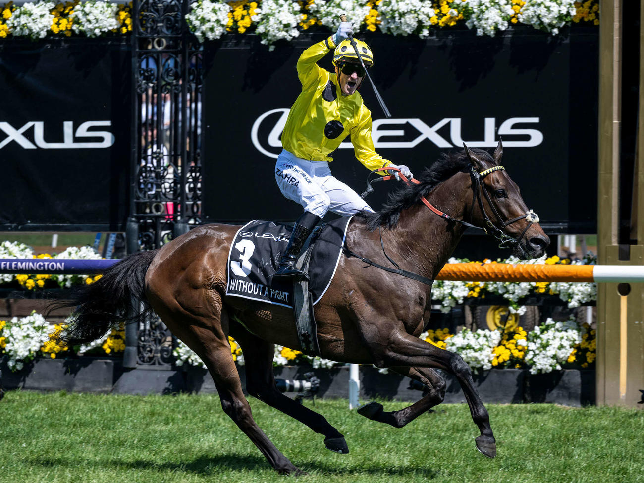 昨年のメルボルンCを制したウィズアウトアファイト（C）The Hong Kong Jockey Club