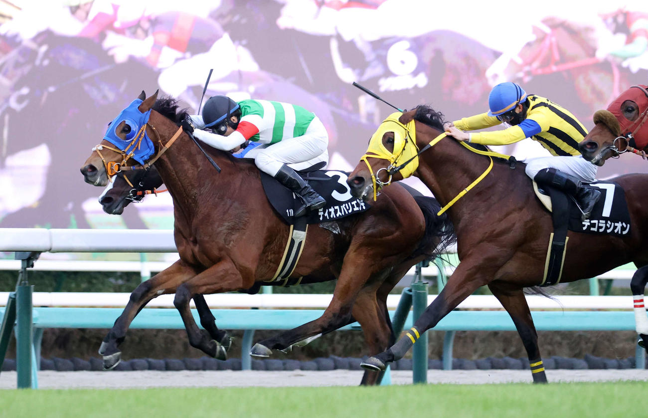 中山11R、常総Sを制したディオスバリエンテ（左、馬番3）（撮影・柴田隆二）