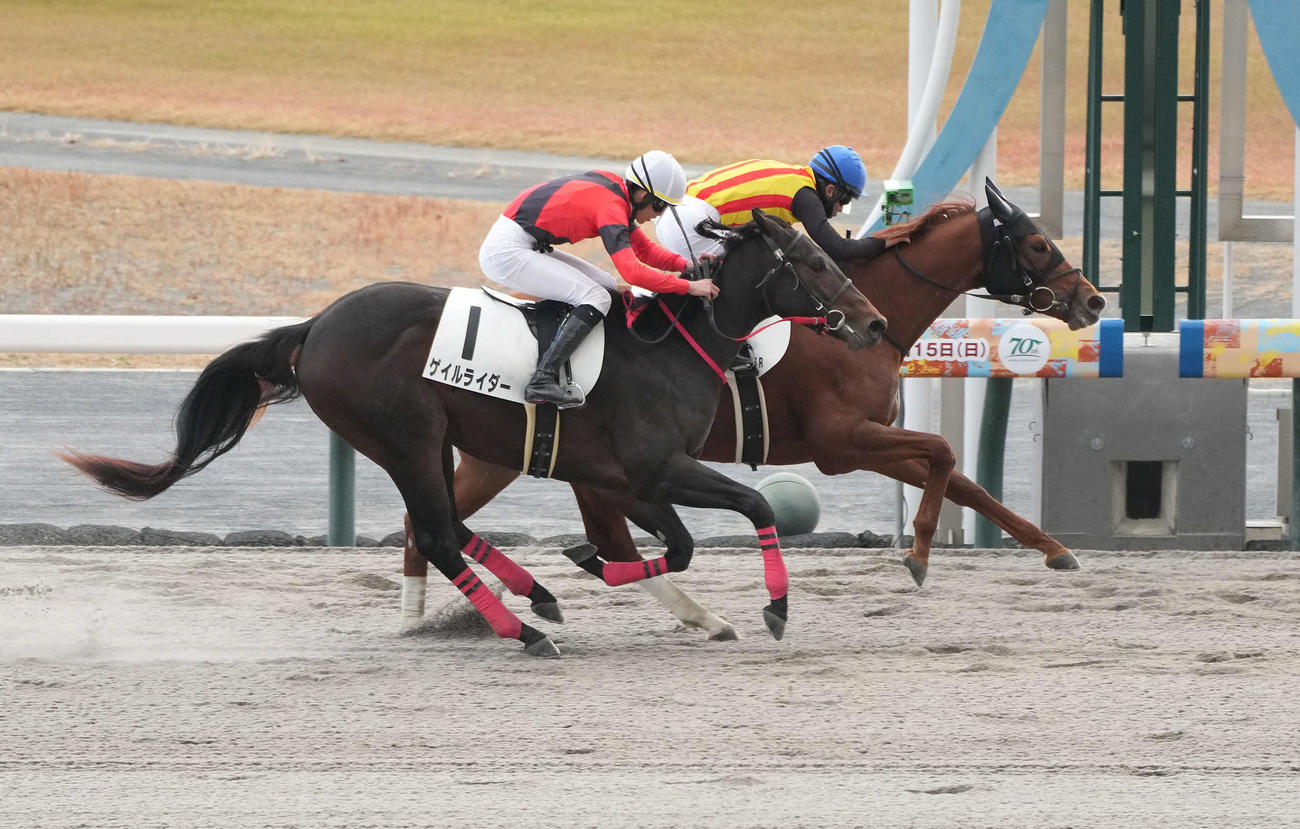 中京5Rの新馬戦を制したトゥロン（奥）（撮影・森本幸一）
