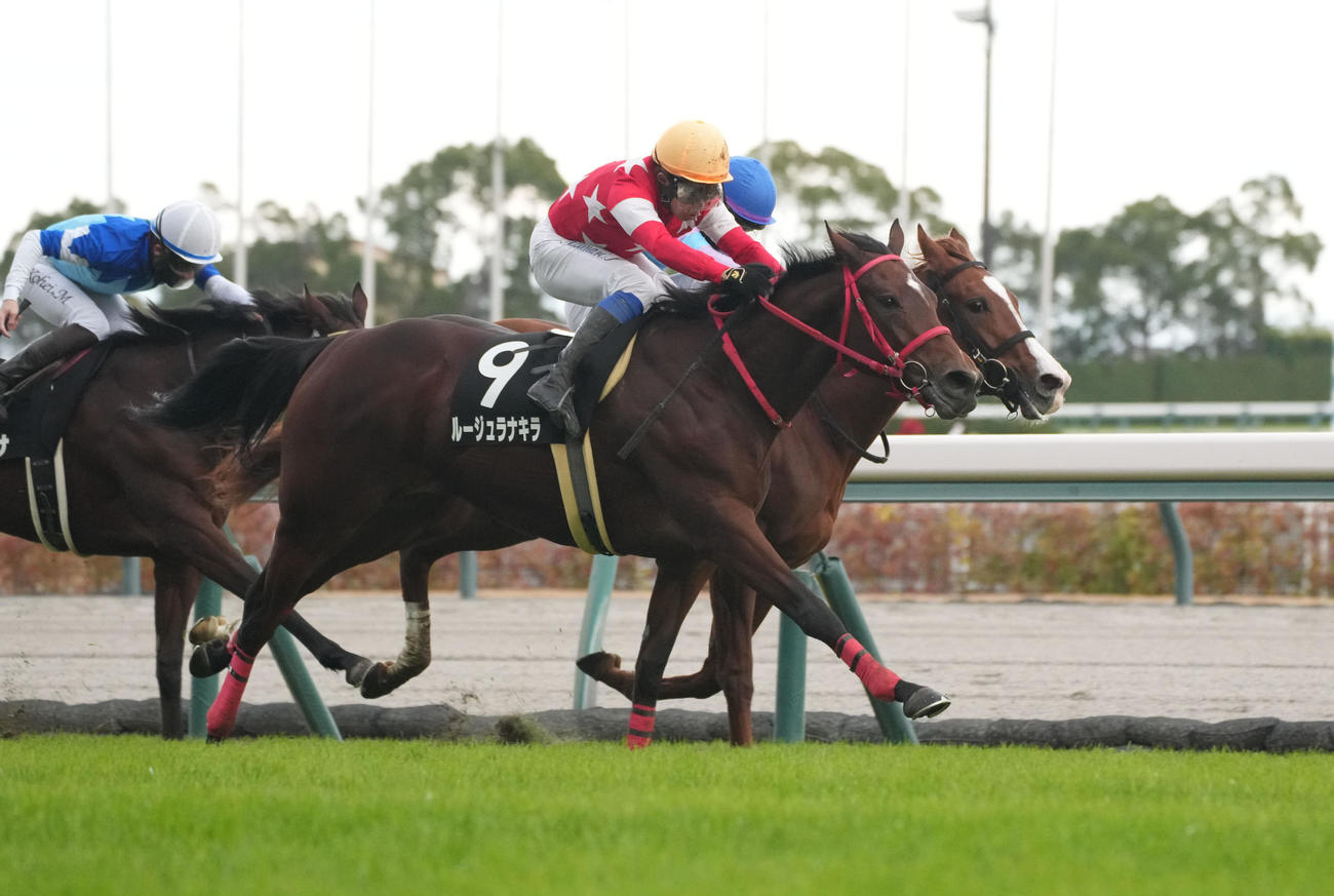 つわぶき賞を制したルージュラナキラ（撮影・森本幸一）