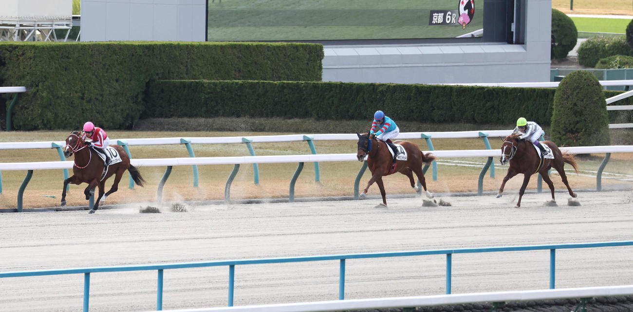 京都6R、逃げ切って2歳1勝クラスを制したアメリカンステージ（左）（撮影・白石智彦）