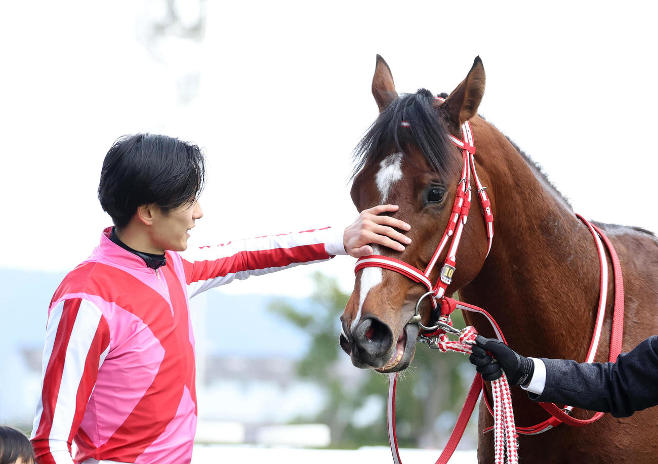 京都6R、アメリカンステージをなでる坂井騎手（撮影・白石智彦）