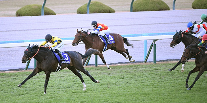 直線で抜け出し朝日杯FSを制するジャンタルマンタル（撮影・和賀正仁）＝2023年12月16日、中山競馬場