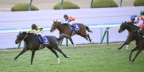 直線で抜け出し朝日杯FSを制するジャンタルマンタル(撮影・和賀正仁)=2023年12月16日、中山競馬場