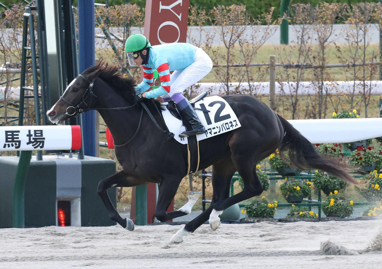 8馬身差をつけ新馬戦を圧勝したヤマニンバロネスと武豊騎手（撮影・白石智彦）