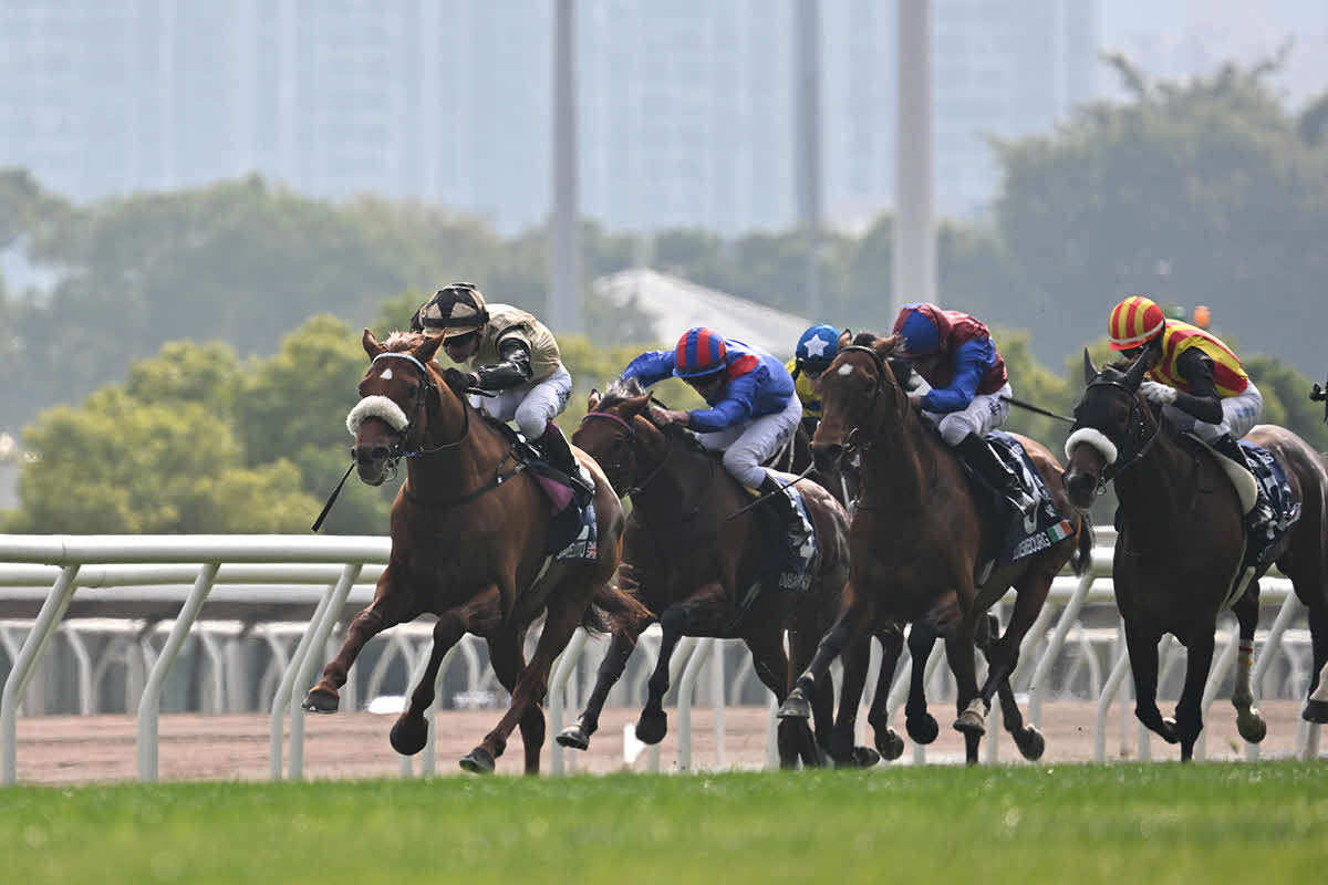 ステレンボッシュ（右端）は最後方からまくって見せ場をつくるも3着に敗れる（（C）The Hong Kong Jockey Club）