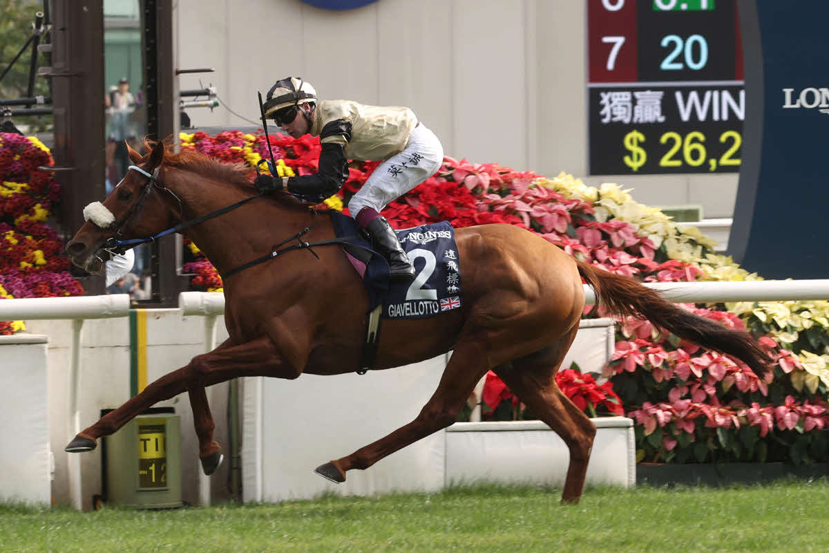 香港ヴァーズを制した英国のジアヴェロット（（C）The Hong Kong Jockey Club）