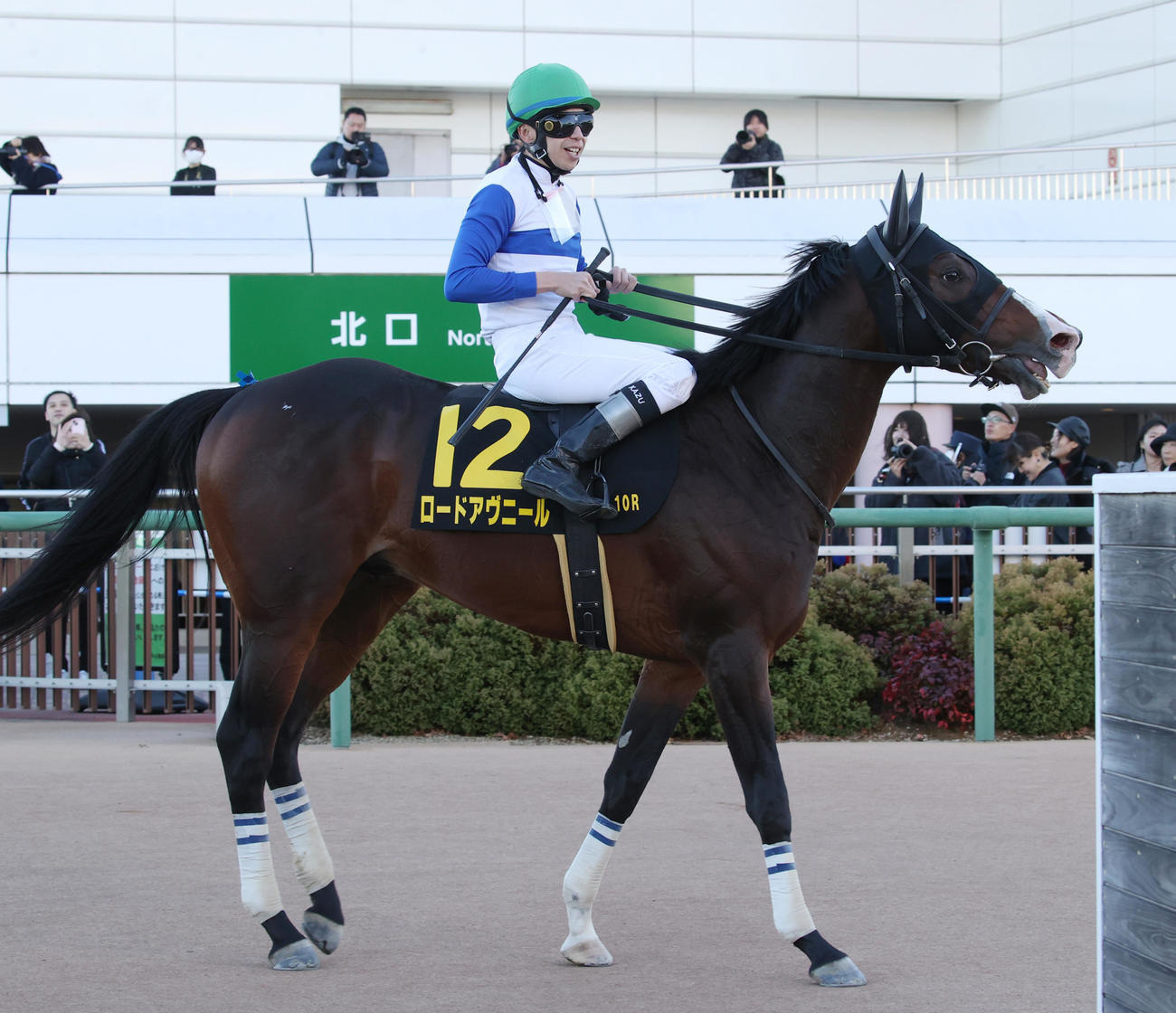 中山10R、師走Sを制したロードアヴニールと横山和騎手（撮影・柴田隆二）