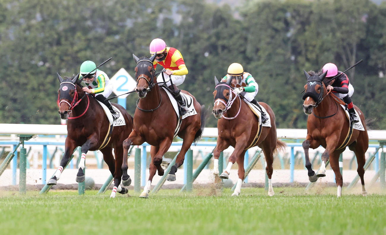 京都5R、ゴール前差し切って新馬戦を制したエリカアンディーヴ（左から2頭目）（撮影・白石智彦）
