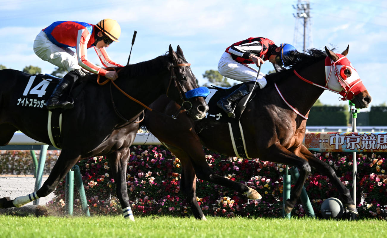 直線で力強く抜け出し名古屋日刊スポーツ杯を制したナヴォーナと川端騎手（右）（撮影・前岡正明）