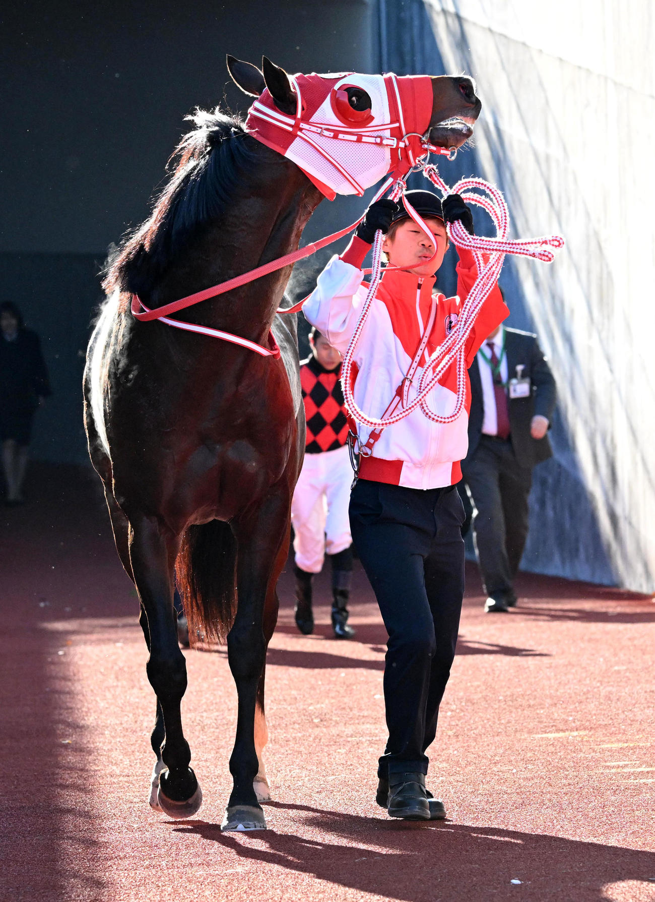 10R、名古屋日刊スポーツ杯を制したナヴォーナ（撮影・前岡正明）